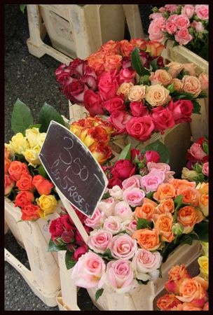march__marne_30