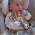 Ma girafe Sophie