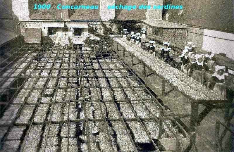 1900 séchage des sardines