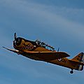 IMG_2099