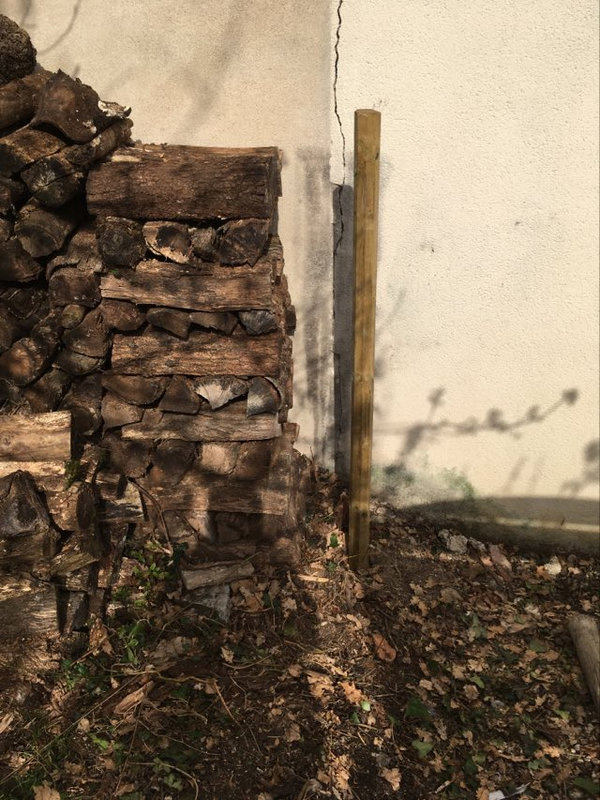 received_215698111074044