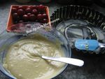 Gâteau aux prunes rougeâtres sauvages de juillet 001