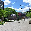 Montreal Downtown AG (105).JPG