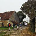 IMGP7590