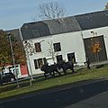 _DSC0081
