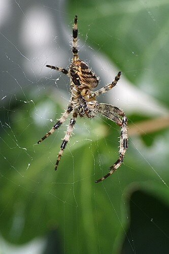 20070725N_045_B_500