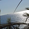 _DSC0315