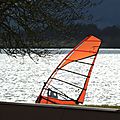 IMG_1613 - Copie