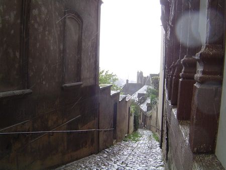 DSC00231__Copier_