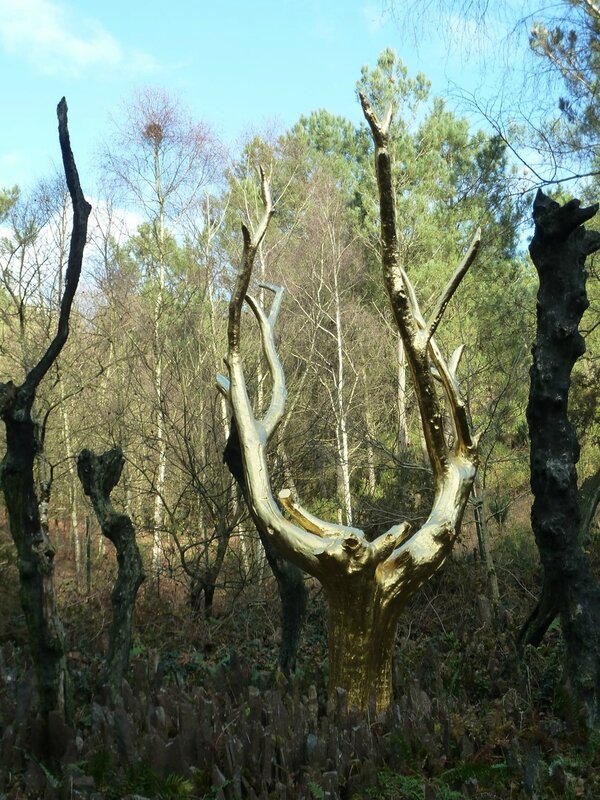 Arbre Tombe Parc De La Tete D Or Forêt de Brocéliande - L'arbre d'or - Les Cupidons sont tombés sur la tête