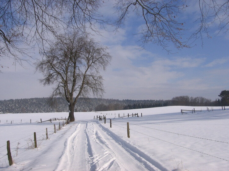 s belle photo hiver 1