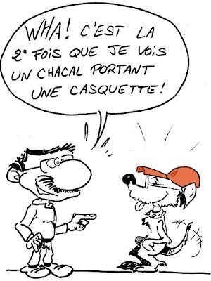 chacal-casquette-rc