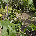 _DSC0024