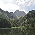_DSC0473