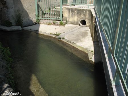 visan_richerenches__grillon_145