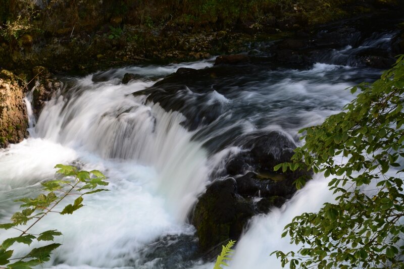 DSC_1747